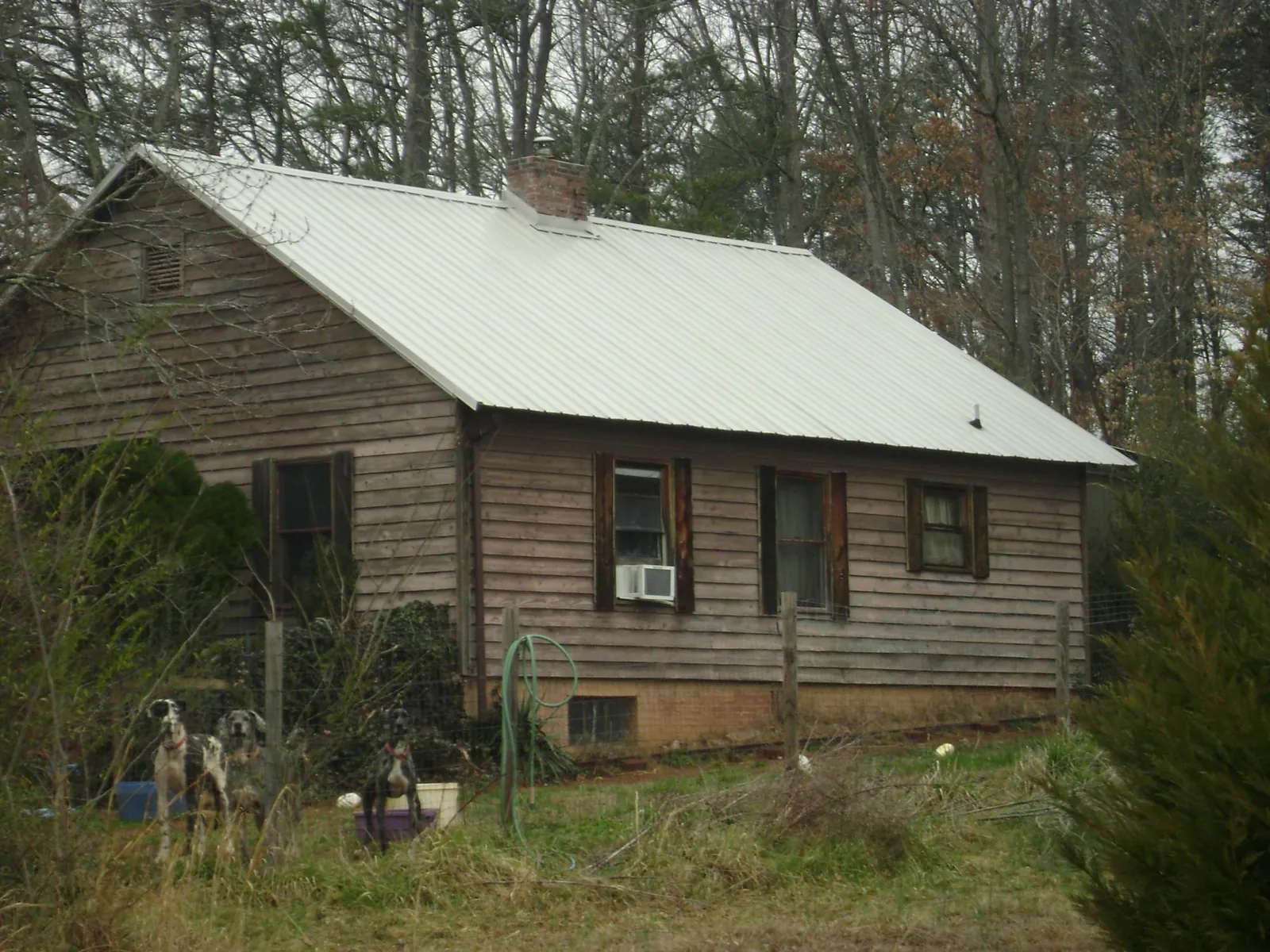 White metal roof on an old wood sided farmhouse in Wilsall